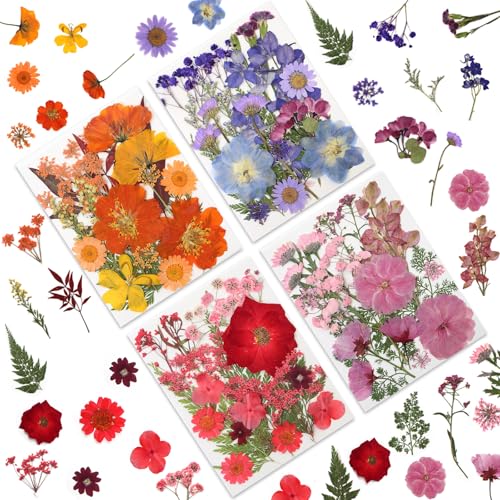 80 Pcs Dried Pressed Flowers for Crafts Real Natural Dried Pressed Flowers in Vibrant Multicolor Tones for Resin DIY Art Jewelry Candle & Soap Making Tweezers Included