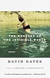 The Wonders of the Invisible World (Vintage Contemporaries)