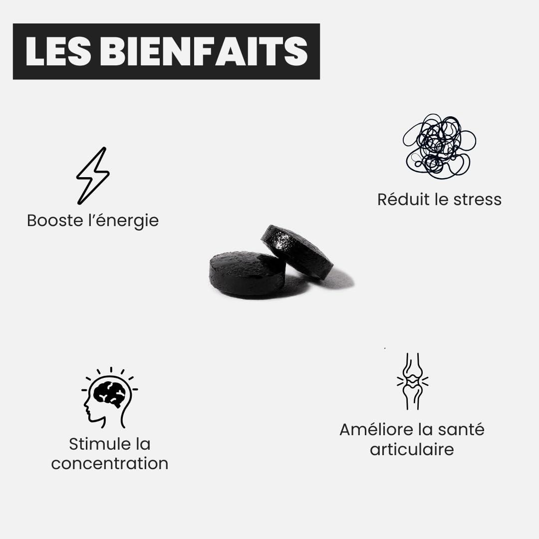 Shilajit Primal 100% Pur de l’Altaï en comprimés, 79% d’Acide Fulvique, 85+ Minéraux Naturels, Énergie, Vitalité & Équilibre Général, Complément Alimentaire Homme & Femme