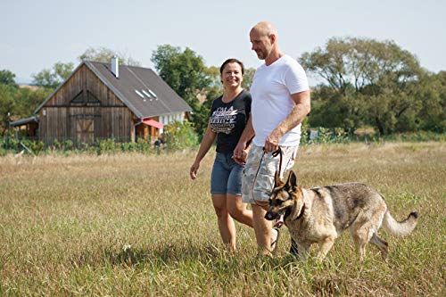 Leatherberg Leather Dog Training Leash - Brown 6 Foot X 3/4" Dog Walking Leash Best For Medium Large Dogs, Latigo Leather Dog Lead & Puppy Trainer Leash #TOP2