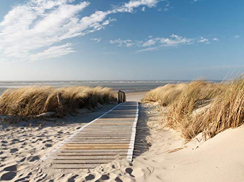 wandmotiv24 Fototapete Nordseestrand Größe: 350 x 260 cm Wandbild,...
