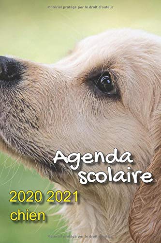 Télécharger Agenda scolaire 2020 2021 chien: Agenda scolaire 2020 2021 animaux|Agenda journalier 2020 2021 avec PDF Ebook En Ligne
