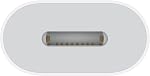 Adaptateur Apple USB-C vers Lightning