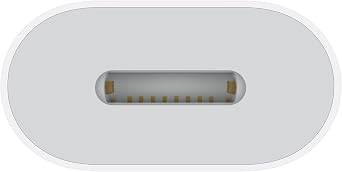 Apple USB-C to Lightning Adapter