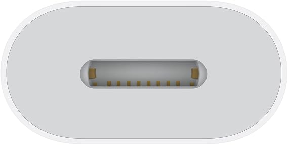 Apple USB-C to Lightning Adapter