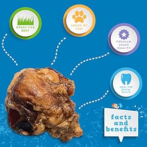 JackPup-Knee-Bones-Dog-Treats-Roasted-Dog-Chew-Bones-Single-Ingredient-All-Natural-Long-Lasting-Dog-Bone-Savory-Smoked-Beef-Flavor-10-Pack - Cucciolini Doodles   JackPup-Knee-Bones-Dog-Treats-Roasted-Dog-Chew-Bones-Single-Ingredient-All-Natural-Long-Lasting-Dog-Bone-Savory-Smoked-Beef-Flavor-10-Pack