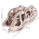 HAOHIZE Dinosaurier Knochen, Dinosaurier Statue Dinosaurier Schädel Skulpturen Dinosaurier Schädel Heim Aquarium simuliertes Tierskelett