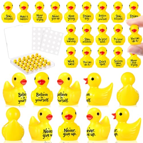 Skylety 30 Set Back to School Mini Resin Ducks Inspirational Student Gifts
