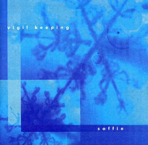 Vigil Keeping [Audio CD] Saffie; John Rutter; John Gorka; Barbara Higbie; Loreena McKennitt; Gordon Lightfoot and Patty Larkin