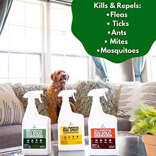 Cedarcide All-Purpose Bug Spray | Kill and Control Mosquitos, Fleas, Ticks, Ants | Made with Natural Essential Oils | Use on People, Pets & Kids (Peppermint, Gallon (128 Oz.))