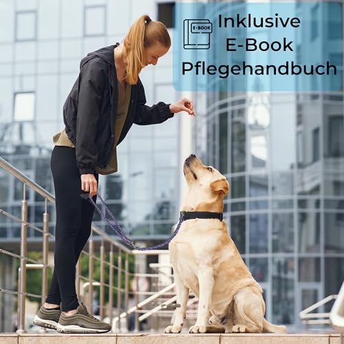Testnote: Sehr gut - Hundeleine reflektierend I 2m, verstellbar, wetterfest & reißfest bis 250 kg I Paracord Führleine, Umhängeleine I kleine - große Hunde