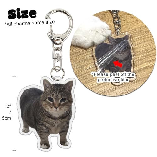Image of Ohjijinn 8Pcs Cat Keychain Cute Cat Meme Keychains Two Cats Talking Keyring Kawaii Charm Funny Keychain
