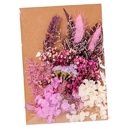 Kit de flores secas para manualidades y decoración miniatura 1