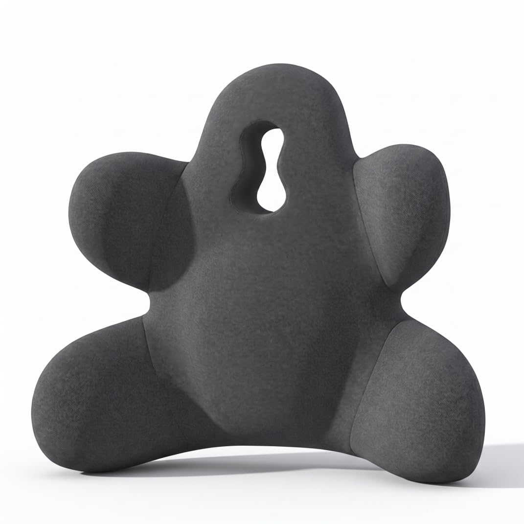 Neptuiby Lumbar Support for Office Chair, Lumbar Support Pillow for Office Chair, Ergonomic Back Cushion with W-shaped Curve Memory Foam Car & Sofa - Dark Gray.
