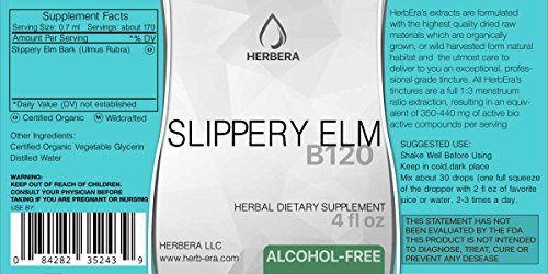 Slippery Elm B120 Alcohol-Free Herbal Extract Tincture, Super-Concentrated Responsibly farmed Organic Slippery Elm (Ulmus Rubra) 4 fl oz
