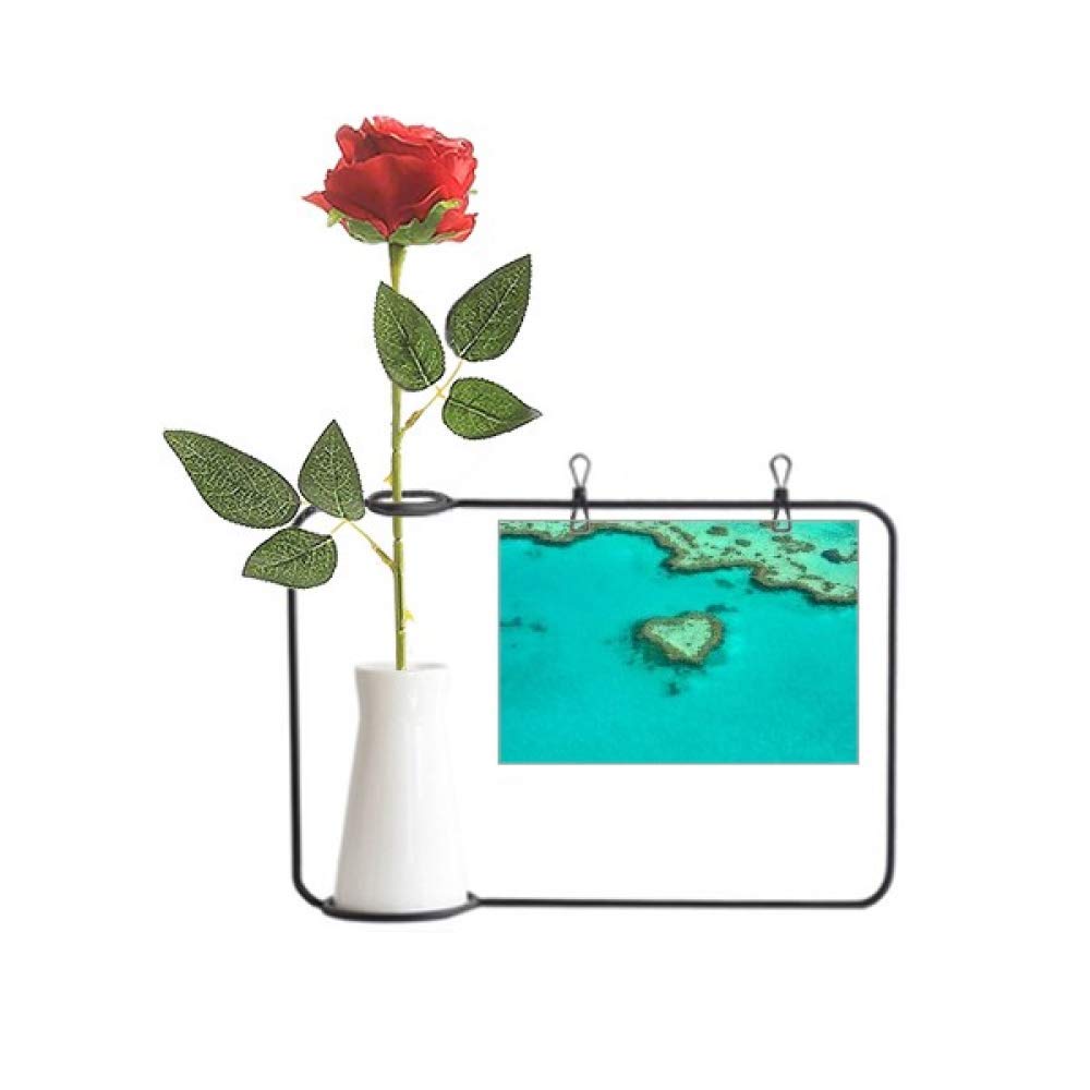 Fleurs artificielles cœur de l'océan et décoration bouteille suspendue