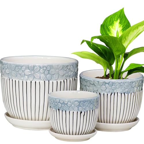Comparison: Best Pot For Jade Plant 3 Ceramic Plant Pots Set of 3, 6.75/5.6/4.2 inch Planters with Drainage Holes and Saucer, Flower Pot Outdoor Indoor, Modern Decorative Planters for House Plants Garden Planters Succulent Pots