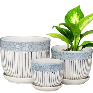 Hlukana Ceramic Plant Pots Set of 3, 6.75/5.6/4.2 inch Planters with Drainage Holes and Saucer, Flower Pot Outdoor Indoor, Modern Decorative Planters for House Plants Garden Planters Succulent Pots