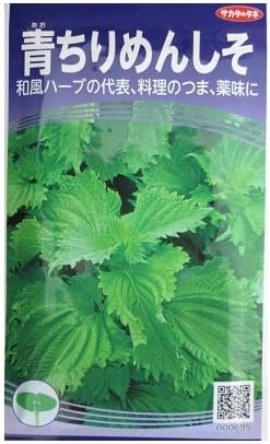 Amazon 青ちりめんしそ サカタの青しそ種です ハーブ Amazon 青ちりめんしそ サカタの青しそ種です ハーブ