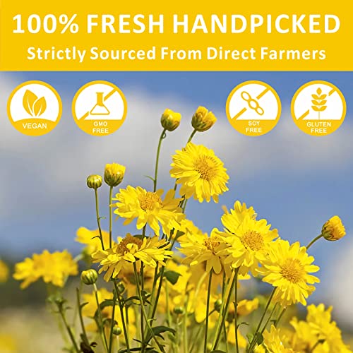 Goofoo Chrysanthemum Tea, Dried Whole Gongju Chrysanthemum Buds, Edible Chinese Flower Loose Leaf Herbal Tea Beverages, Organic Natural, 1 Oz 菊花茶 Mother's Day Gift #TOP1