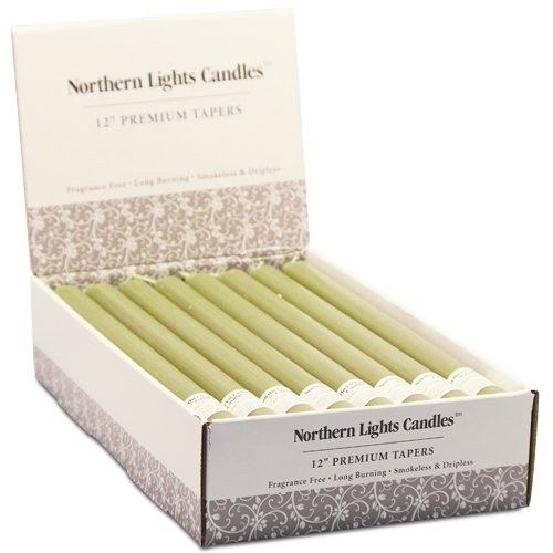 Buy Northern Lights Candles NLC Premium Tapers, 24Piece, 12Inch, Moss