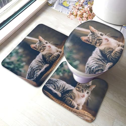 gC}bg Zbg 3_  Ot L L }bg gCWJo[ U^ O^ gC}bg Zbg ~ z  h ֊ӂJo[ ƒp zep