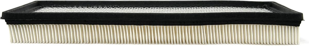 ACDelco GM Equipo original A917C (25042562) Filtro de aire
