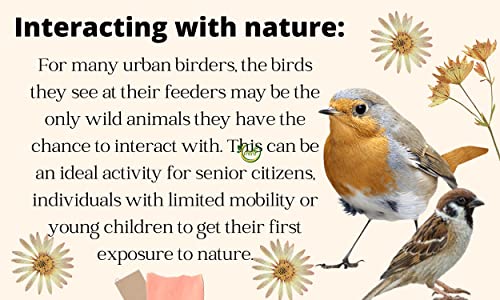 Image of Bird Food for Wild Birds,Premium Seed Mix of 11 Grains & Nuts, Bird Food Refill Pack for Bird Feeder, Mix Seeds for Outside Wild Birds, Pigeons,Indian Parrot, Doves, 450 Gram