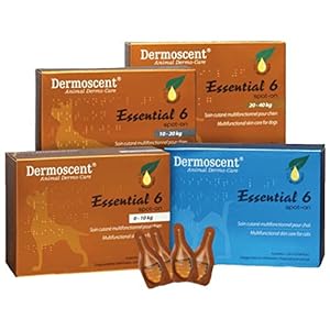 Merial Dermoscent 4 Pipetas de Spot On Gatos