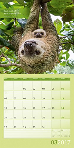 Keep Smiling 30 x 30 cm 2017