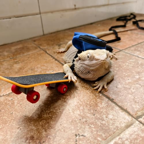 Image of Bearded Dragons Accessories Toy Lizard Backpack Leash Set Adjustable Strap and Mini Skateboard Suitable for Lizard Bearded Dragons Hamster Parrots Little Turtle Reptiles Small Animals (Blue)