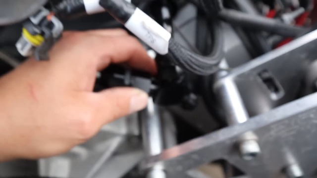 Amazon.com: EVIL ENERGY 8AN Y Block Flare Fitting Adapter Union