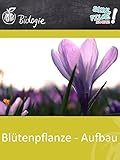  Blütenpflanze - Aufbau - Schulfilm Biologie