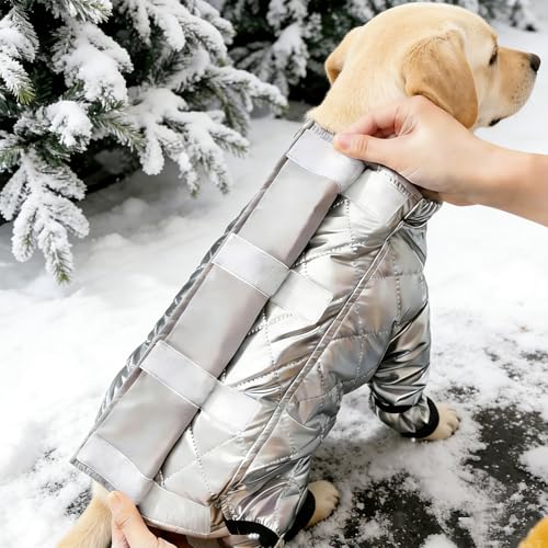 Combinaison de neige complète pour chiens imperméable et chaude