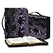 Bible Cover Case with Bookmark Belt for Women Ballet Dancers Bible Covers with Handle Large Church Study Book Protector Pouch Zippered Book Case for Daily Use
