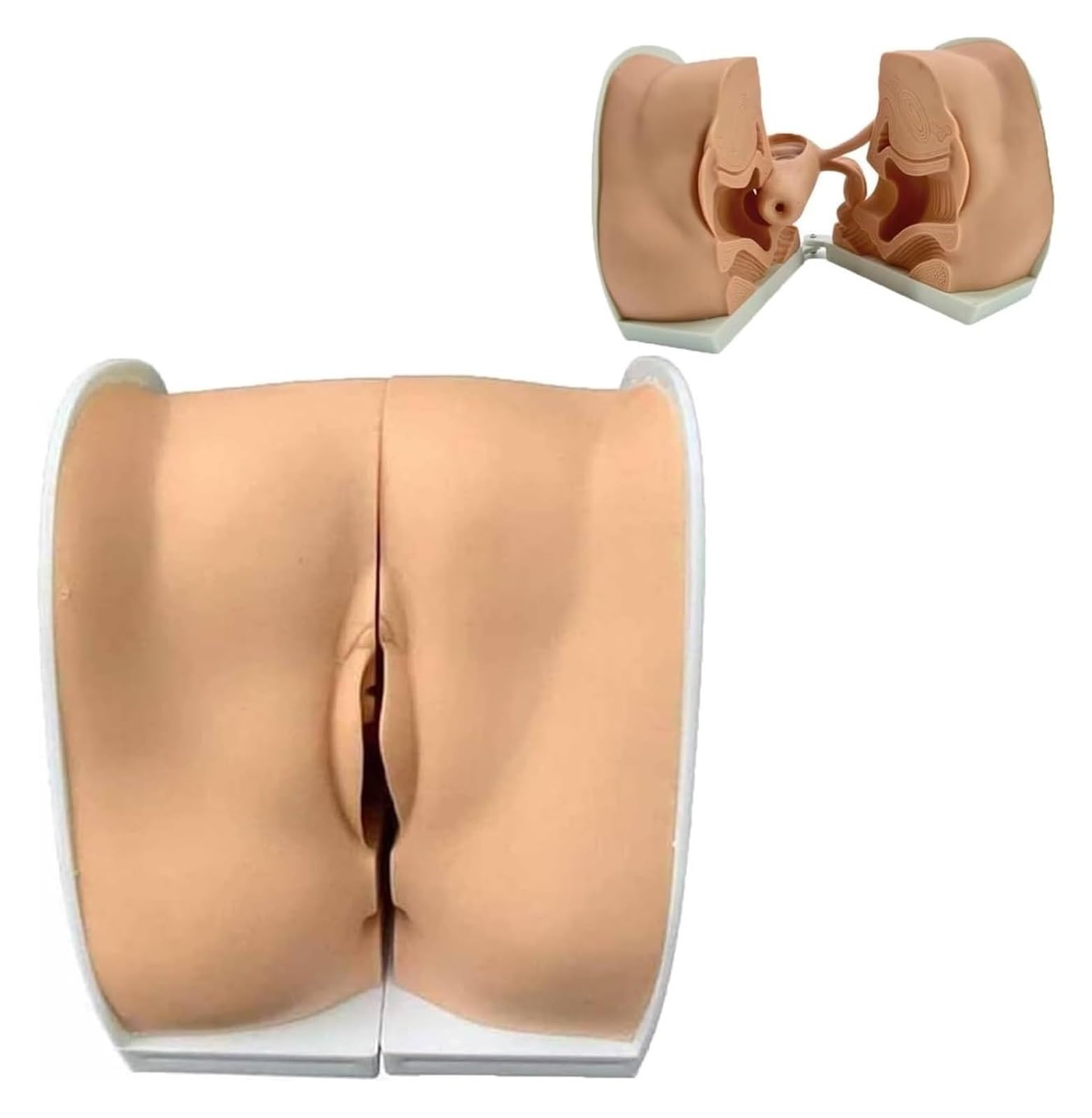 Maniquí Ginecológico Femenino, Modelo De Anatomía Genital Femenina, Modelo De Guía De Anticoncepción Femenina De Tamaño Natural Y Maniquí Con Anatomía Precisa, Adecuado for Enseñanza Y Operación Práct