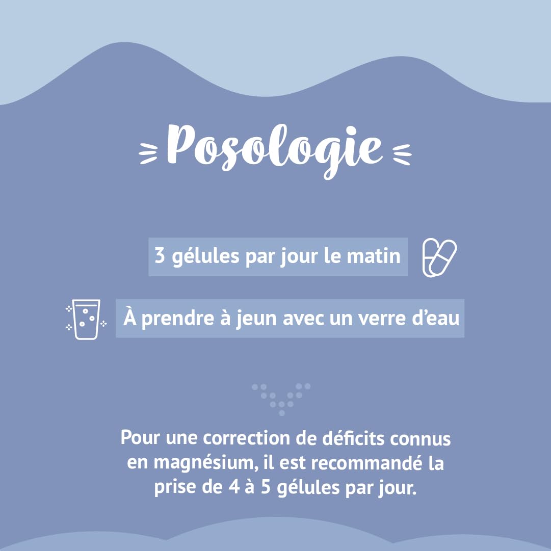 Bacopa Monnieri, Ginkgo Biloba Bio, Magnésium, Vitamine B12, B9, B1| Complément Alimentaire Anti Stress et Focus | Mémoire et Concentration | 90 Gélules Vegan Complement Fabriqué en France