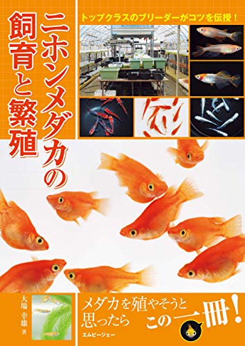 二ホンメダカの飼育と繁殖 トップクラスのブリーダーがコツを伝授 アクアライフの本 Japanese Edition Ebook 大場 幸雄 Amazon Fr