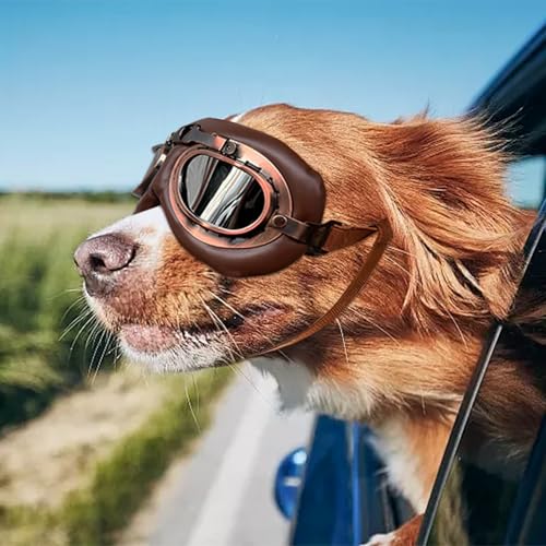 MisFun 1Pcs Retro Hundebrille, Sonnenbrille Hund Brille Hund UV-Schutz, Hundesonnenbrille für Mittel Große Hunde, Sonnenbrille Hunds mit Verstellbare Riemen, für Autofahren/Outdoor-Aktivitäten
