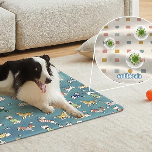 Coussin de refroidissement pour chien : évitez le coup de chaud avec la soie glacée