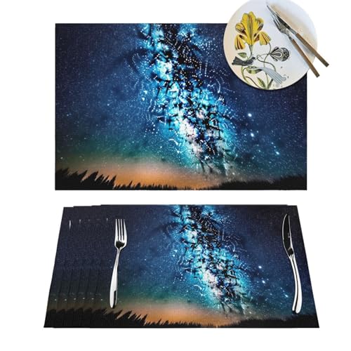 Napperons tissés en PVC 45x30 cm lavables pour table - 2