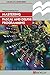 Mastering Pascal and Delphi Programming (Palgrave Master Series (Computing))