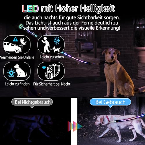Aisuowa LED Hundeleine für Hunde, 12 Beleuchtungsmodi Reflektierend Leine Hund, 1,5 m, USB Aufladbar Leuchtend Wasserdicht Hundeleinen, Geeignet für Große, Mittelgroße und Kleine Haustiere Licht