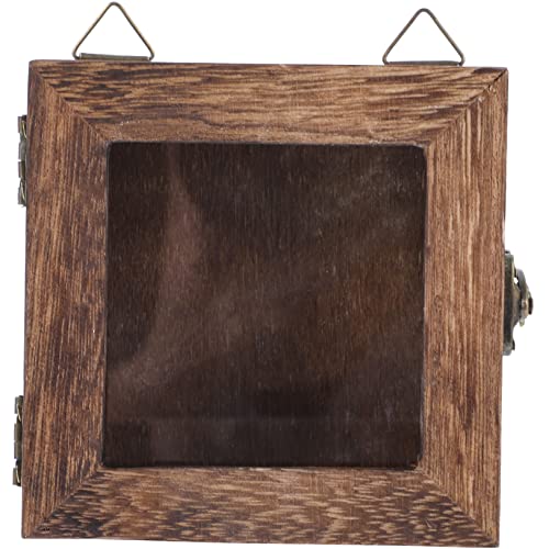 Alipis Retro Glass Butterfly Specimen Display Box 10x10x4.5 Inch Insect Display Case for Dead Butterfly Wall Art