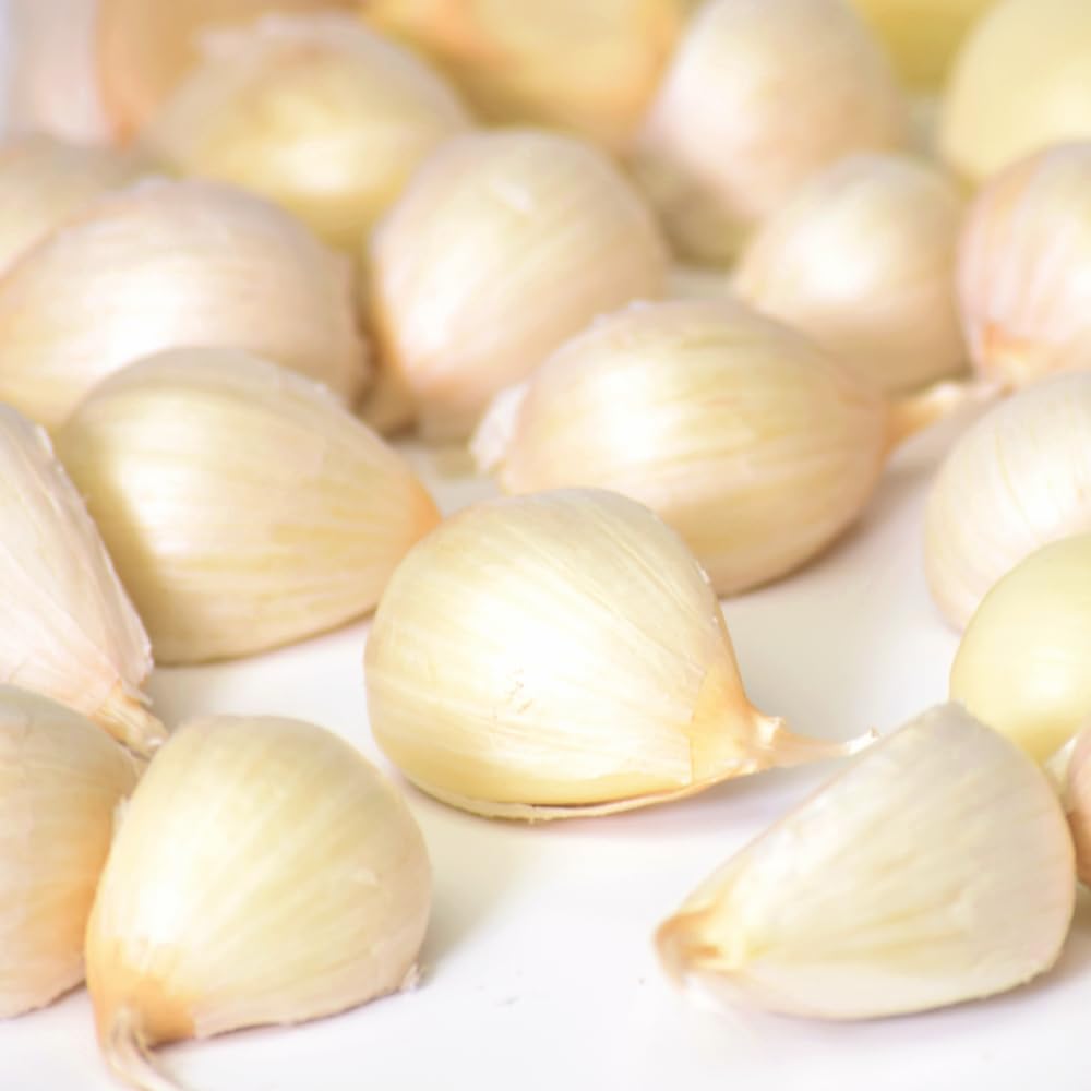 にんにく 青森 バラ 500g 皮剥げも有り グルメ通り SHOP ニンニク バ…