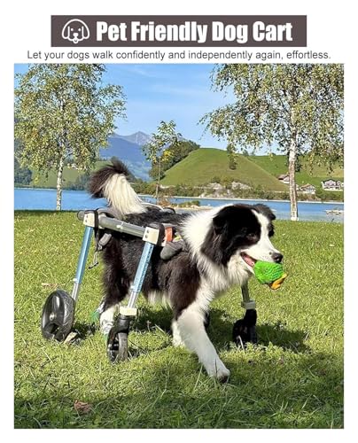 Fauteuil pour chien paralysé à 4 roues réglable XS - 6