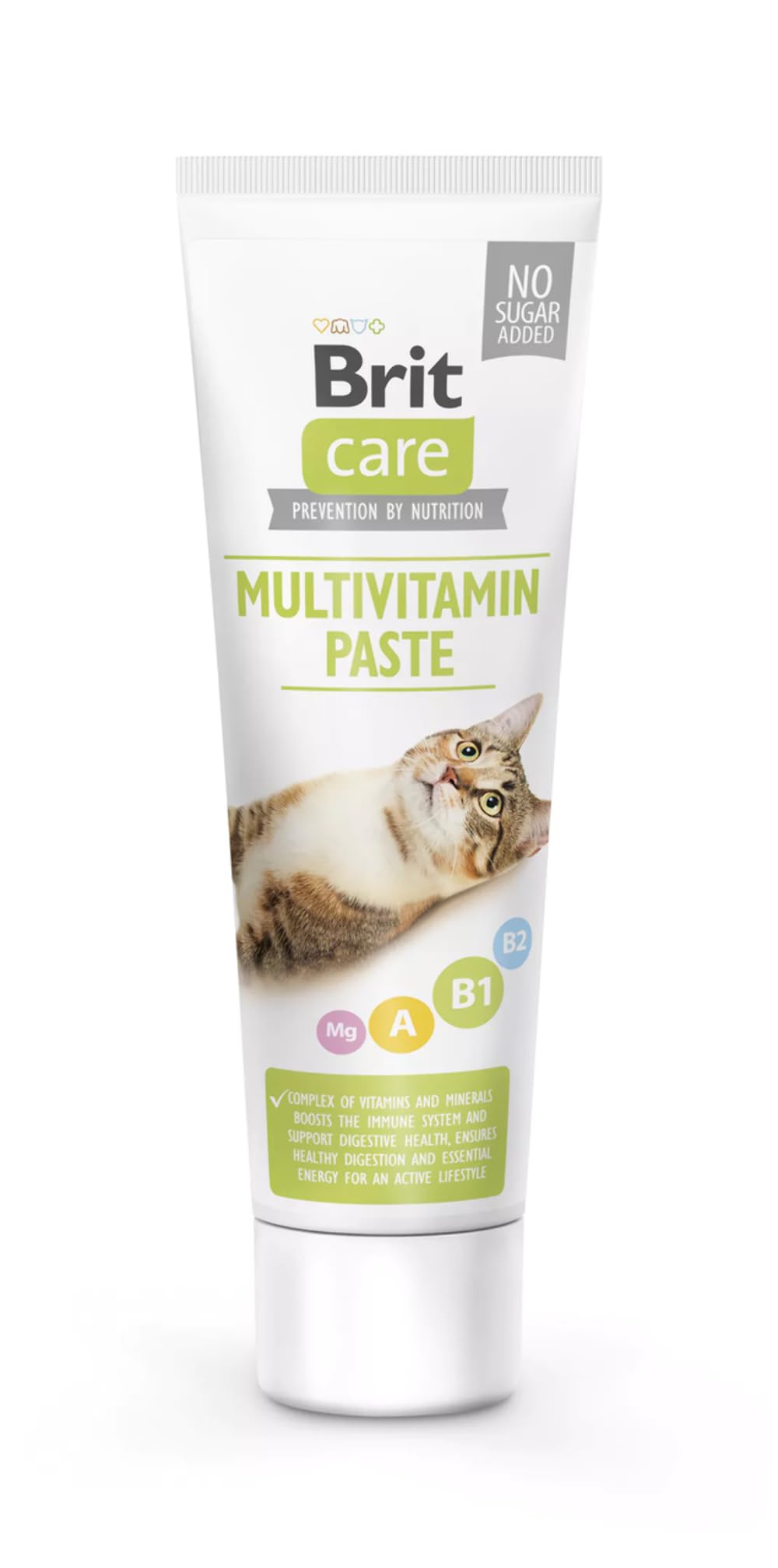 BritCare Cat Paste Multivitamin 100 g