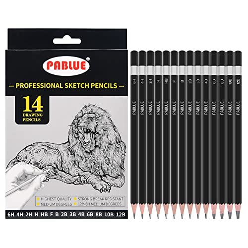 Professional Triangular Drawing Pencil Set (14 Pcs)