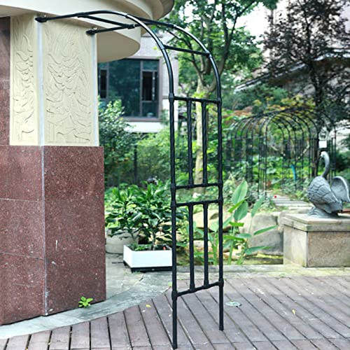 Arco de rosa de metal para jardín y soporte de media pared para plantas 2