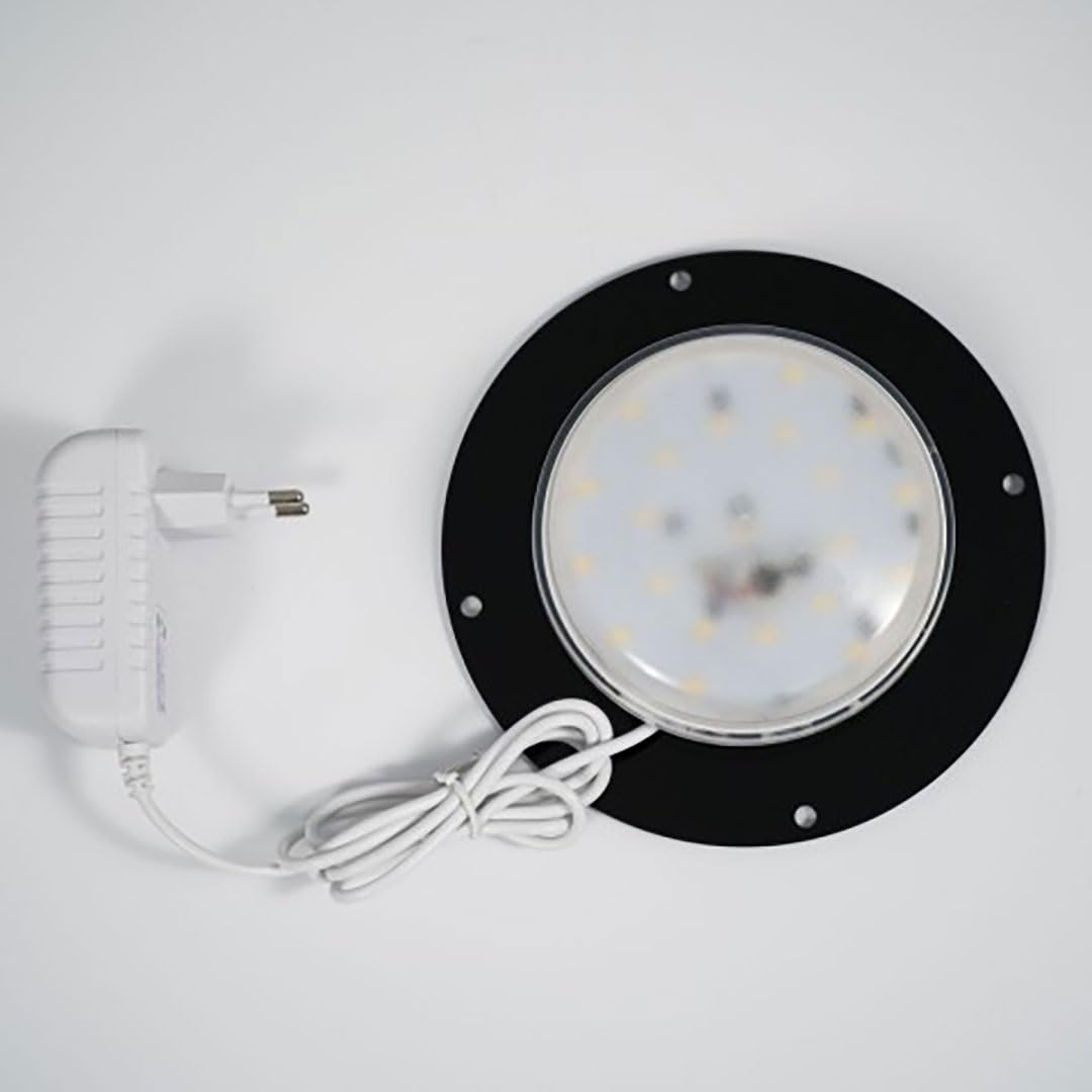 Danieli Vasi Luminosi da Giardino | Vaso luminoso da interno ed esterno | Fioriera e Vasi a led a risparmio energetico 100% Made in Italy (MEDIUM, Bianco CALDO)